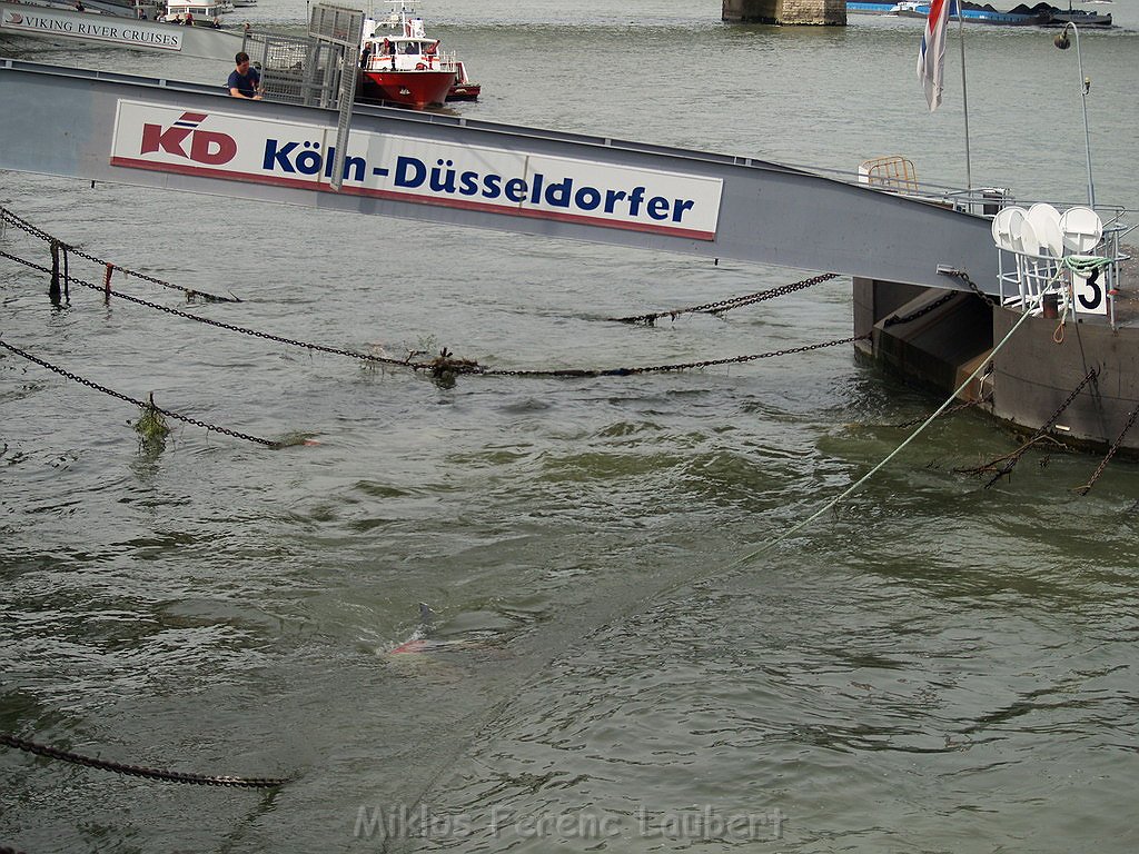 Uebung BF Koeln und DRLG Person im Rhein bei Koeln P761.JPG